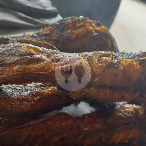 Nasi Ikan Lele